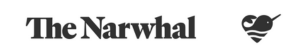 The Narwhal logo